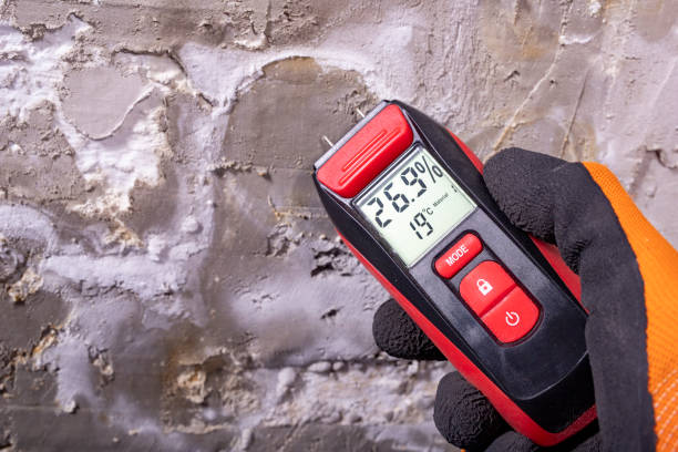 Best Local Mold Removal Service  in Murrells Inlet, SC