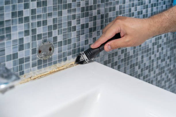 Best Commercial Mold Removal  in Murrells Inlet, SC