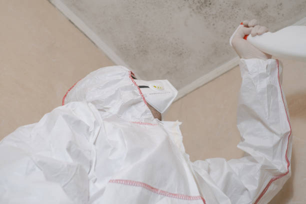 Best Certified Mold Removal  in Murrells Inlet, SC